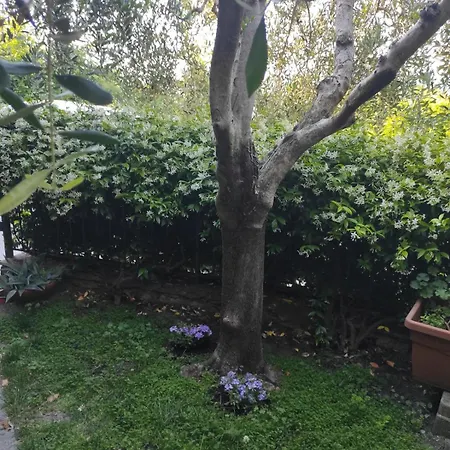 Casa Del Gelsomino Prázdninový dům