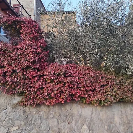 Casa Del Gelsomino Prázdninový dům *